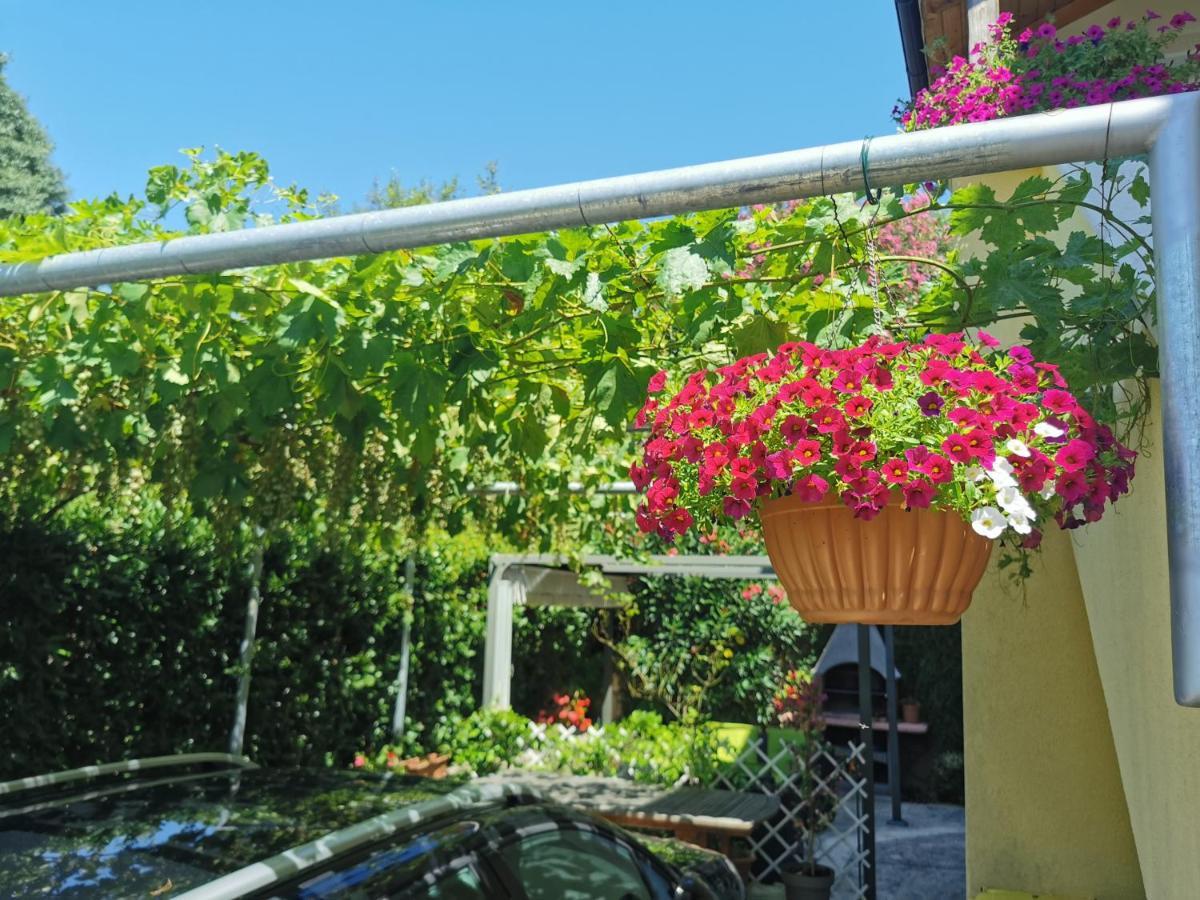 Apartman Nekic Cres Buitenkant foto